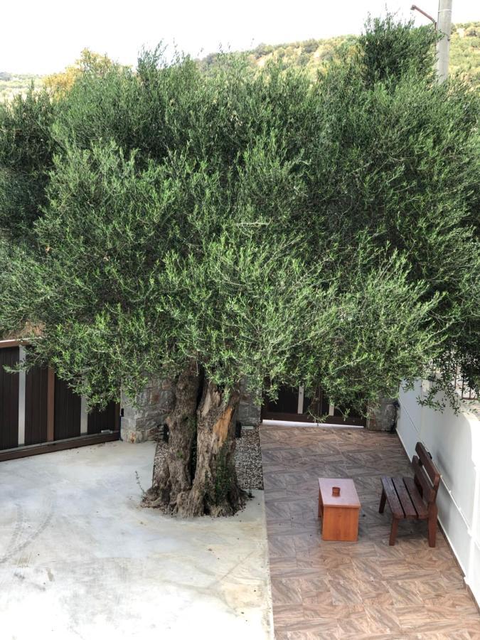 Villa Creta Galini House Sirílion Esterno foto