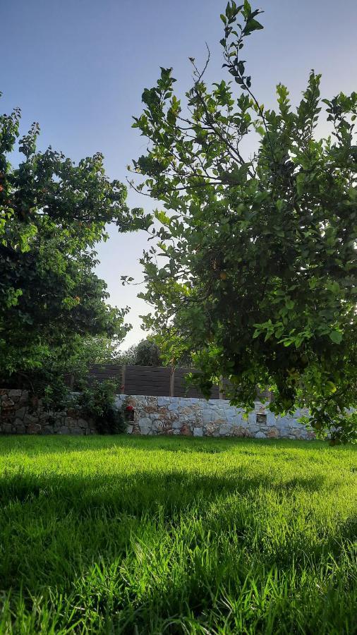 Villa Creta Galini House Sirílion Esterno foto