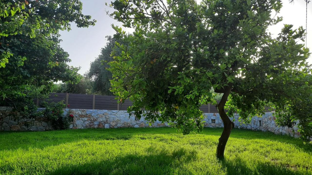 Villa Creta Galini House Sirílion Esterno foto